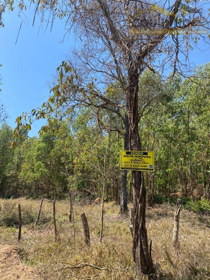 WhatsApp Image 2025-09-12 at 11.33.22.jpeg